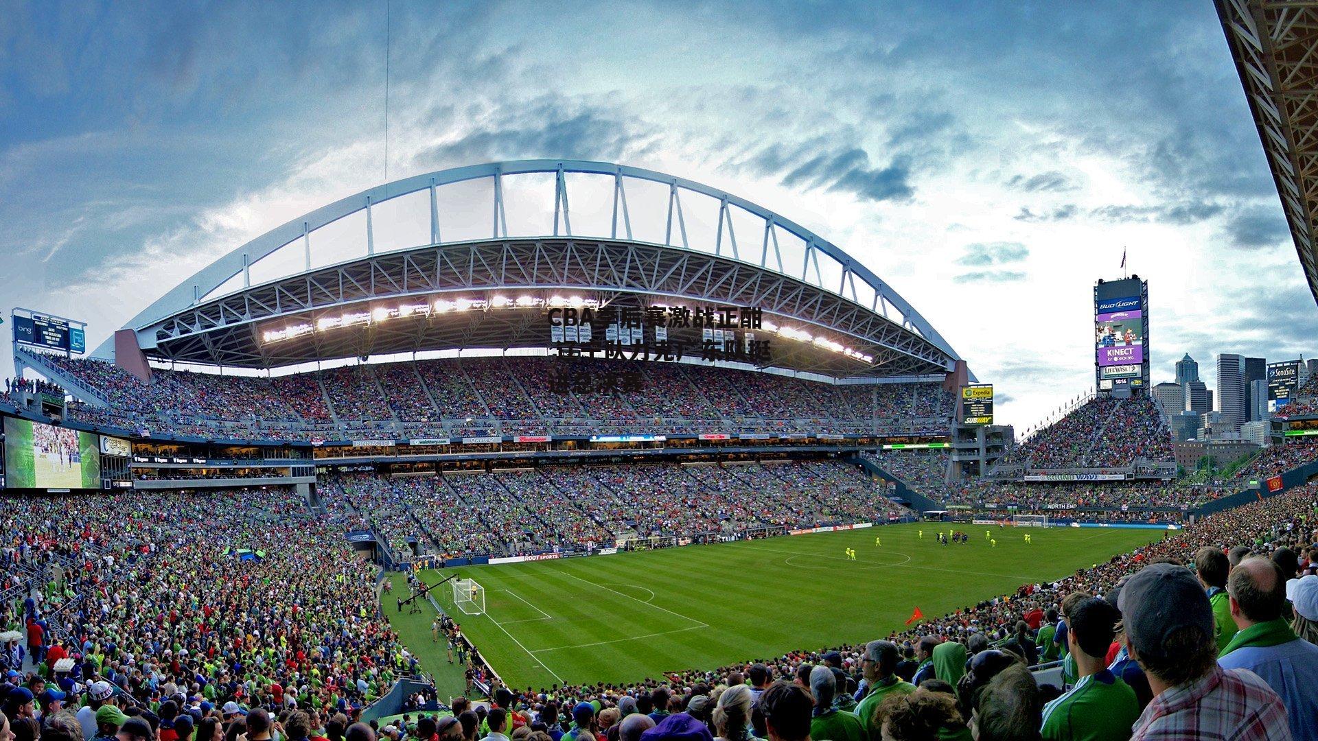 CBA季后赛激战正酣 辽宁队力克广东队挺进总决赛