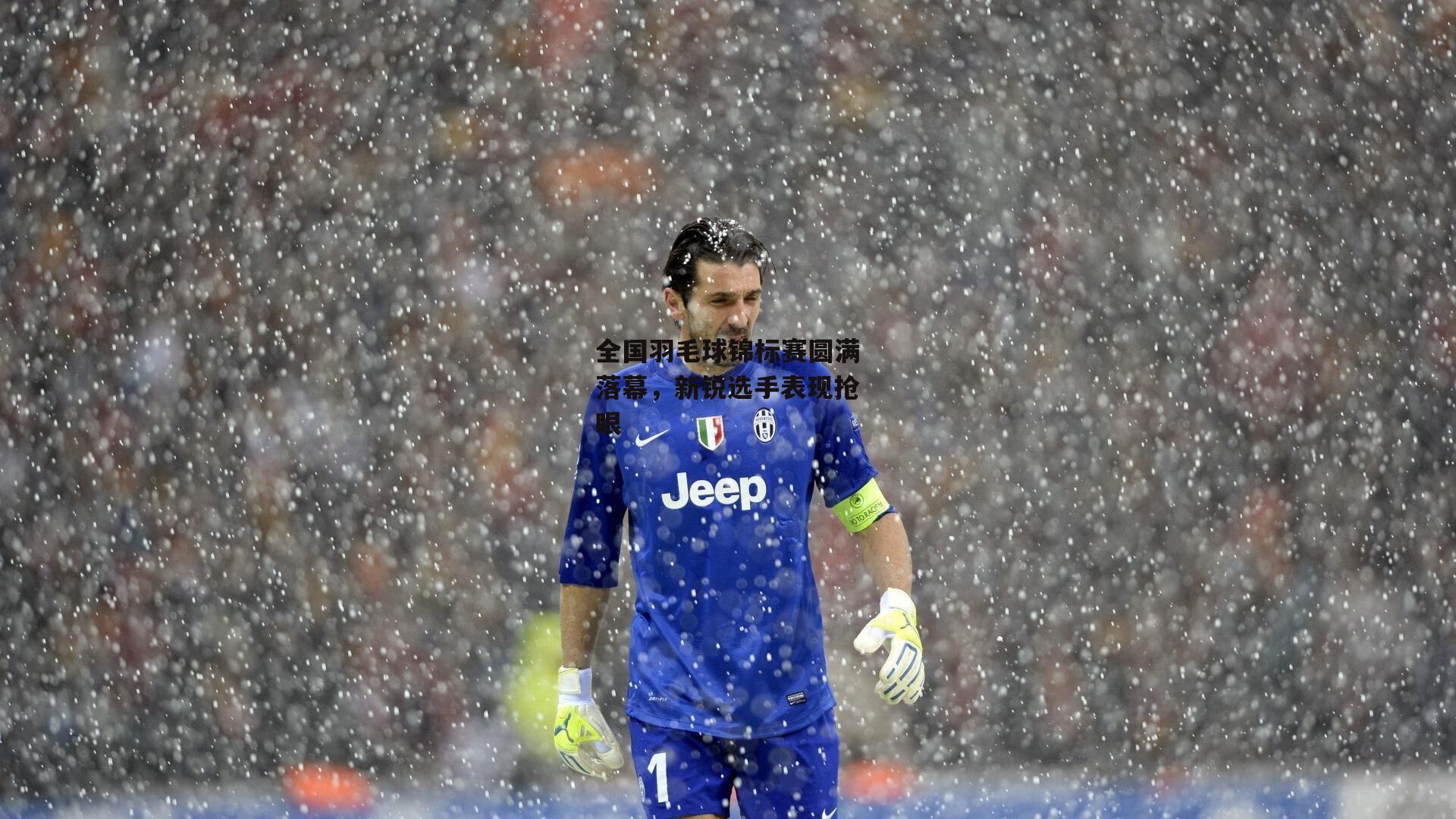 全国羽毛球锦标赛圆满落幕，新锐选手表现抢眼