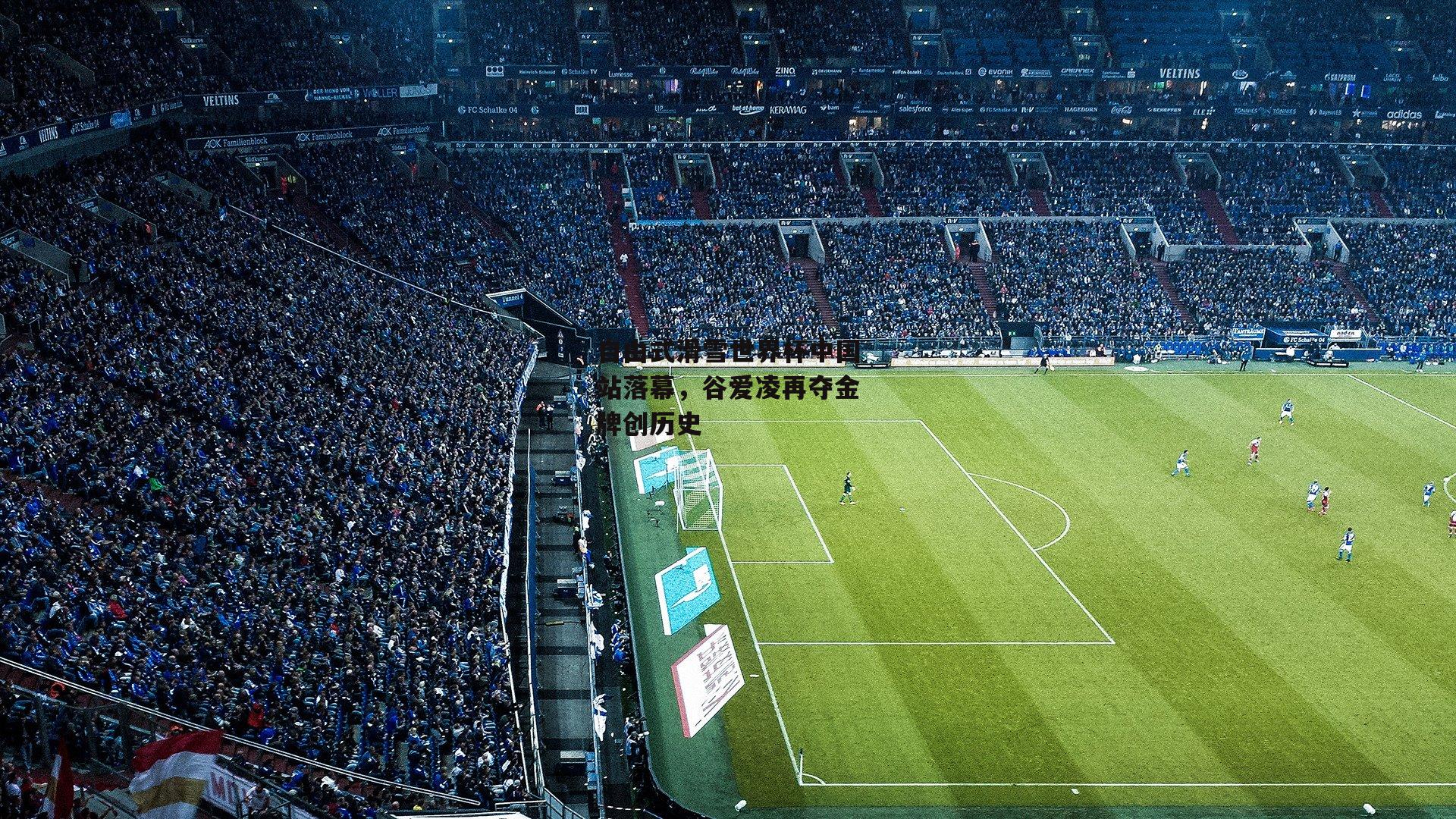 自由式滑雪世界杯中国站落幕<a href=