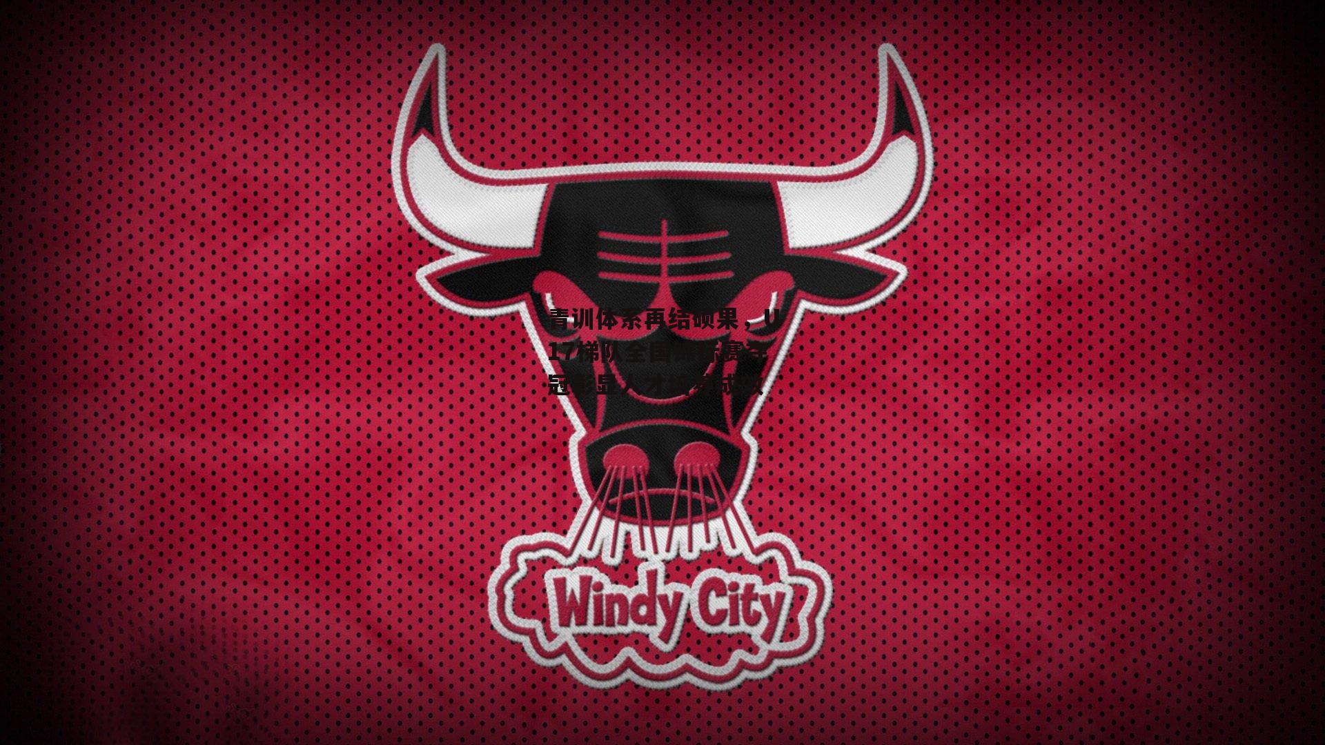 青训体系再结硕果,U17梯队全国锦标赛夺冠彰显人才培养成效